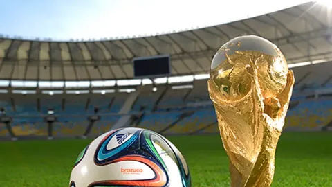 荷兰门神诺珀特：探寻其神秘天赋之谜